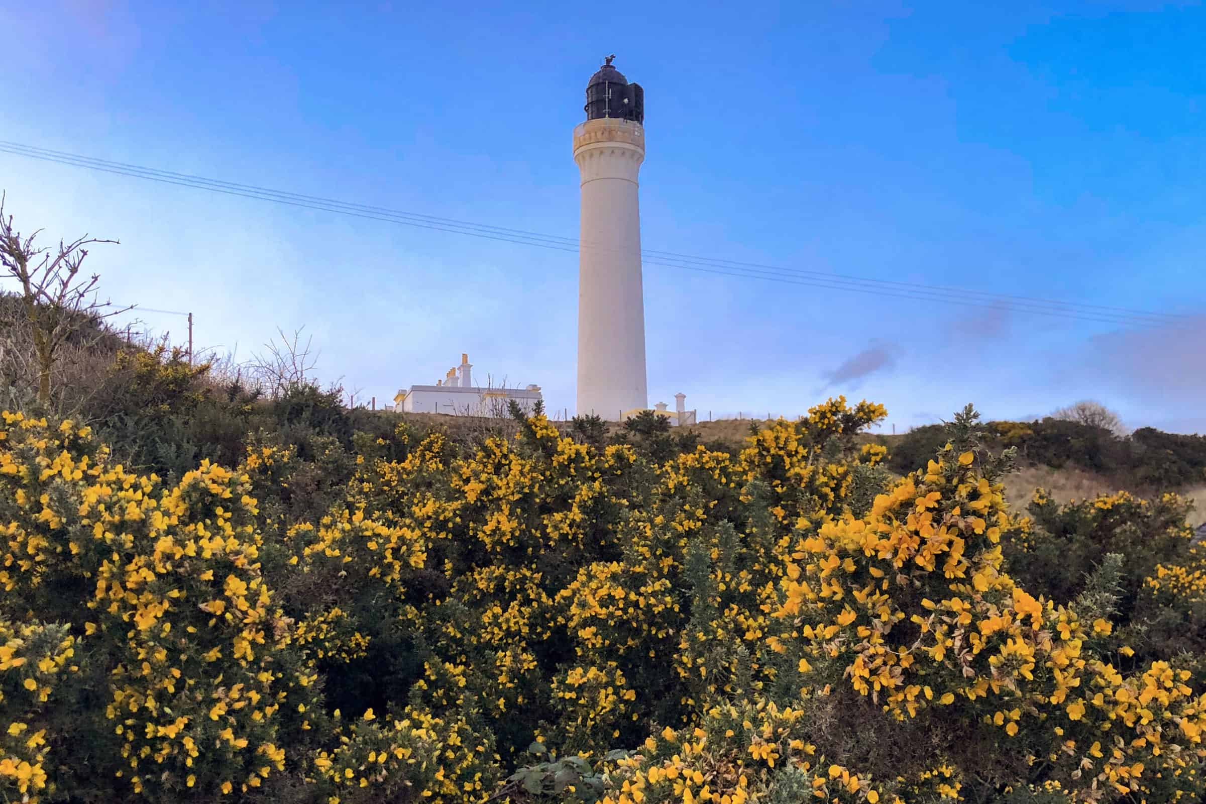 Coveseae Lighthouse