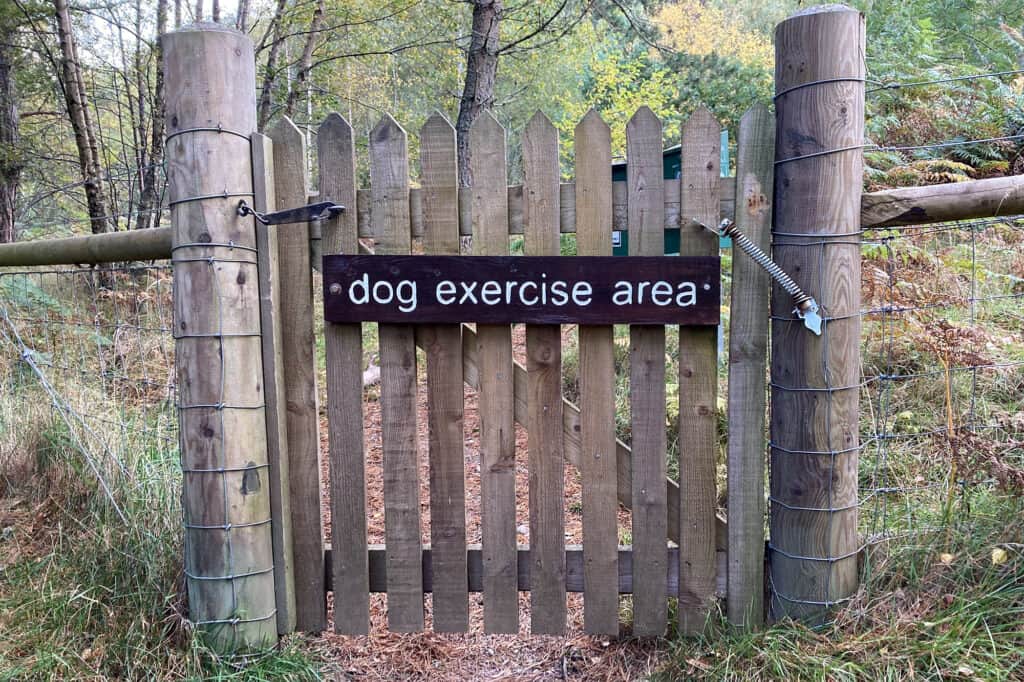 Dog exercise area, Loch an Eilein